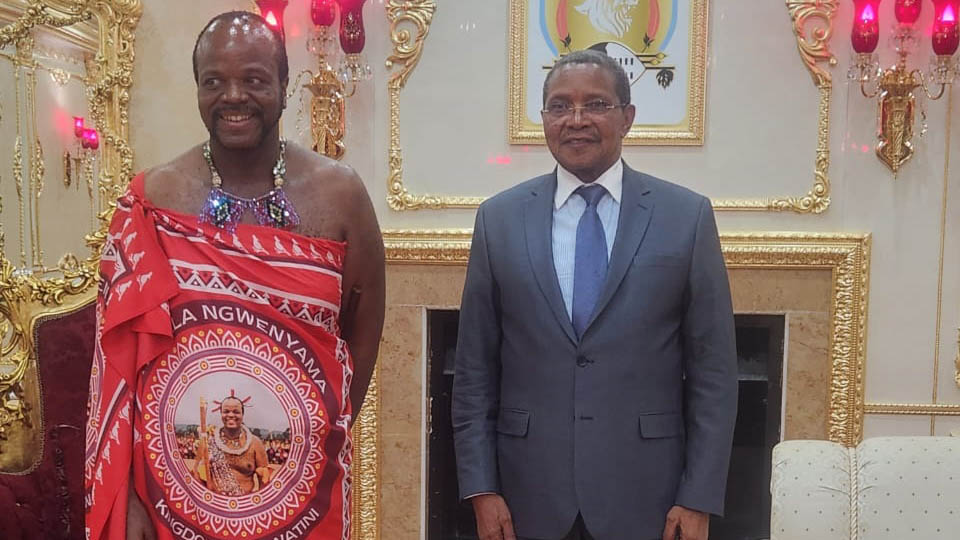 King holds audience with former Tanzanian president
